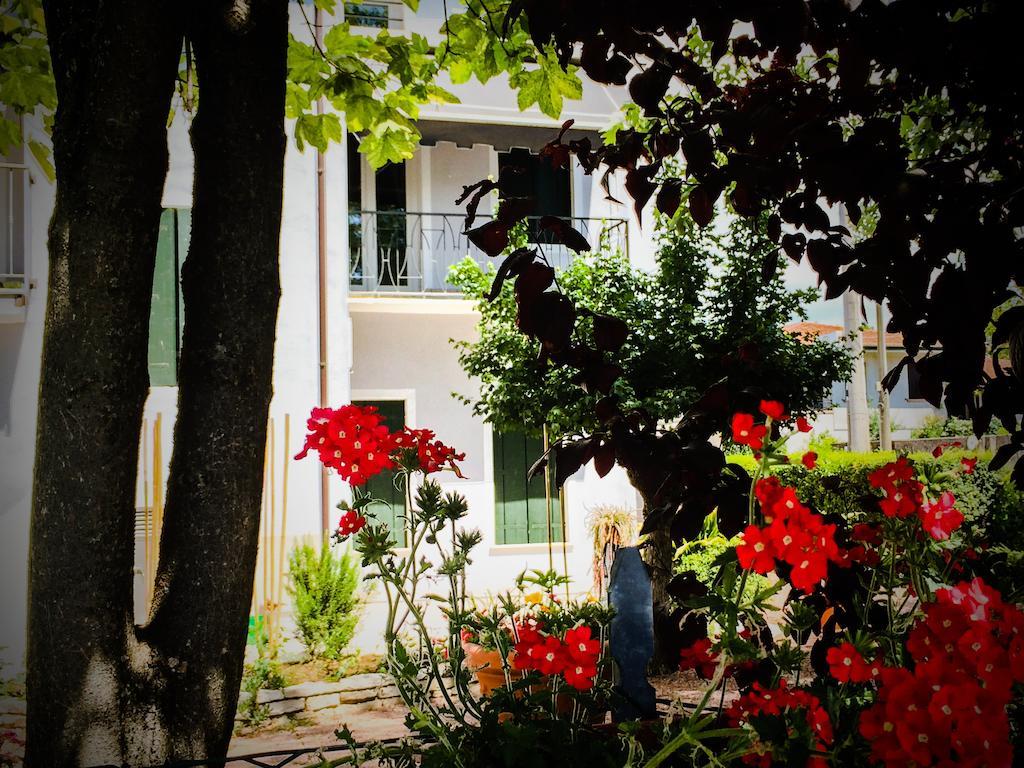 唐卡洛住宿加早餐旅馆 San Martino di Lupari 外观 照片